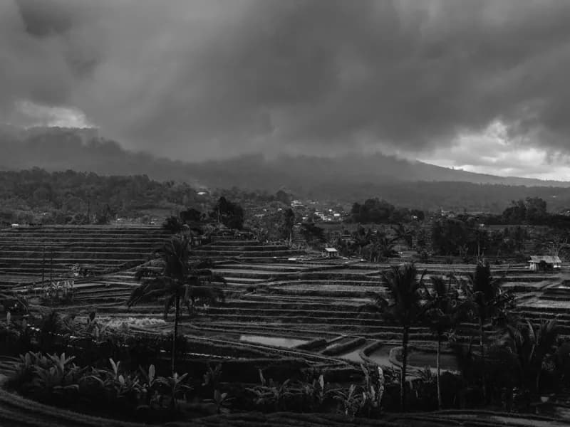 Bali, Bali — street photography, July 2026