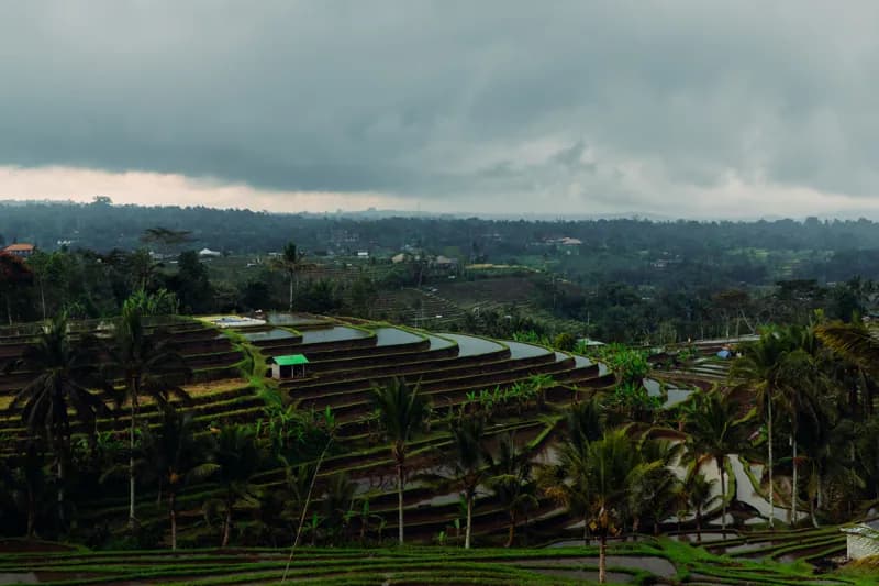 Bali, Bali — street photography, July 2026