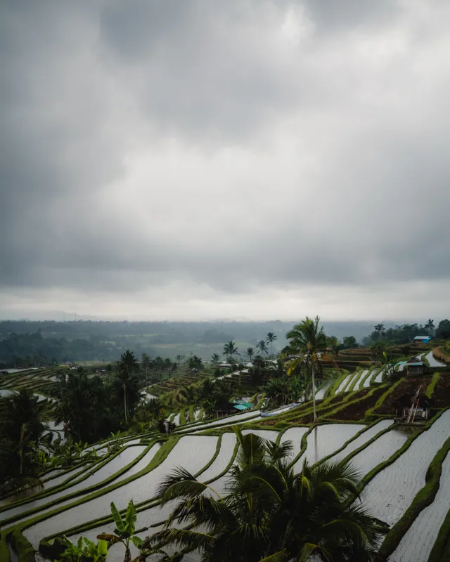 Bali, Bali — street photography, July 2026