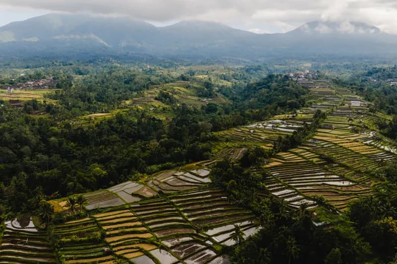 Bali, Bali — street photography, July 2026