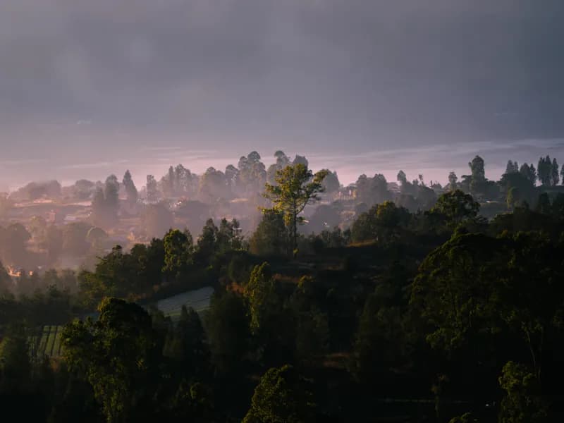 Kintamani, Bali — street photography, June 2026