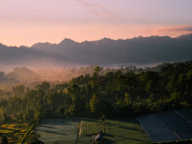 Kintamani, Bali — street photography, June 2026
