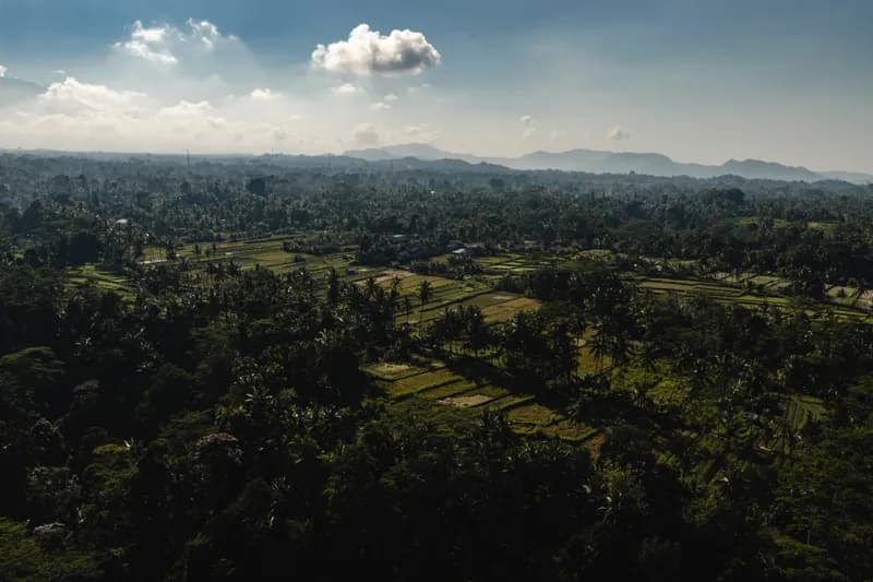 Bali, Bali — street photography, June 2026