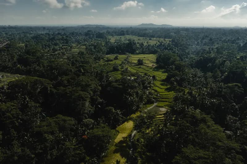 Bali, Bali — street photography, June 2026