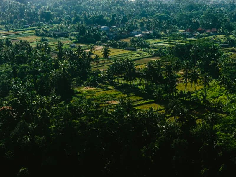Bali, Bali — street photography, June 2026