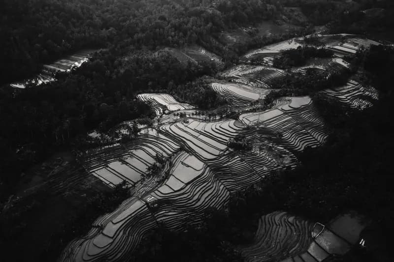 Bali, Bali — street photography, June 2026