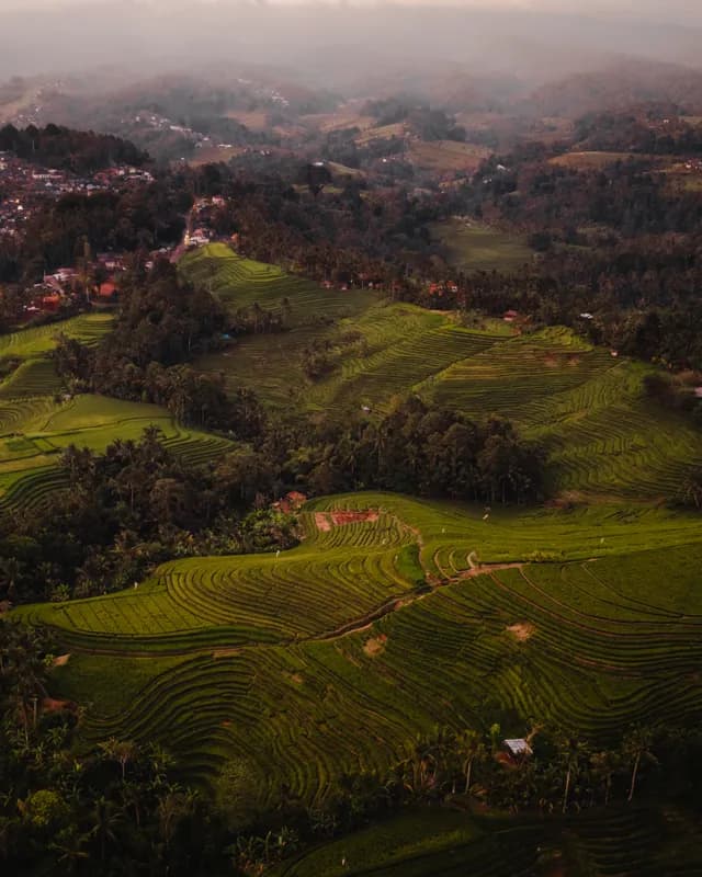 Bali, Bali — street photography, June 2026