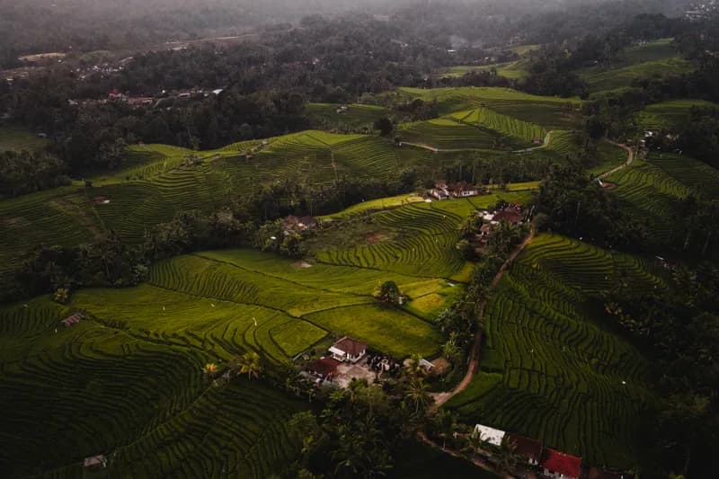 Bali, Bali — street photography, June 2026