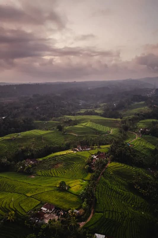Bali, Bali — street photography, June 2026