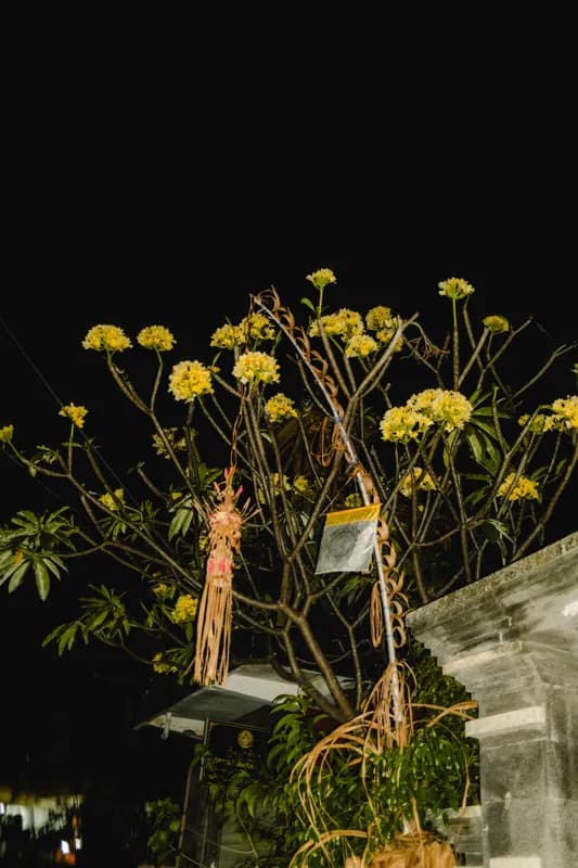 Bali, Bali — street photography, June 2026