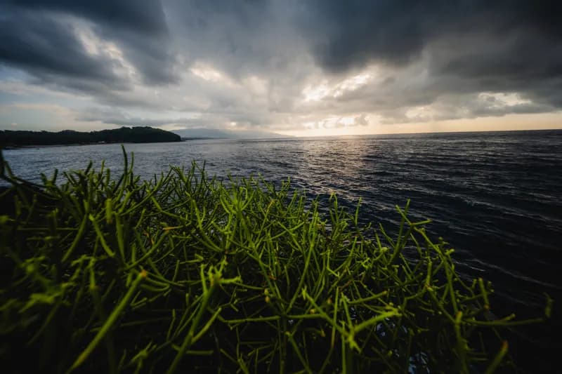 Bali, Bali — street photography, June 2026