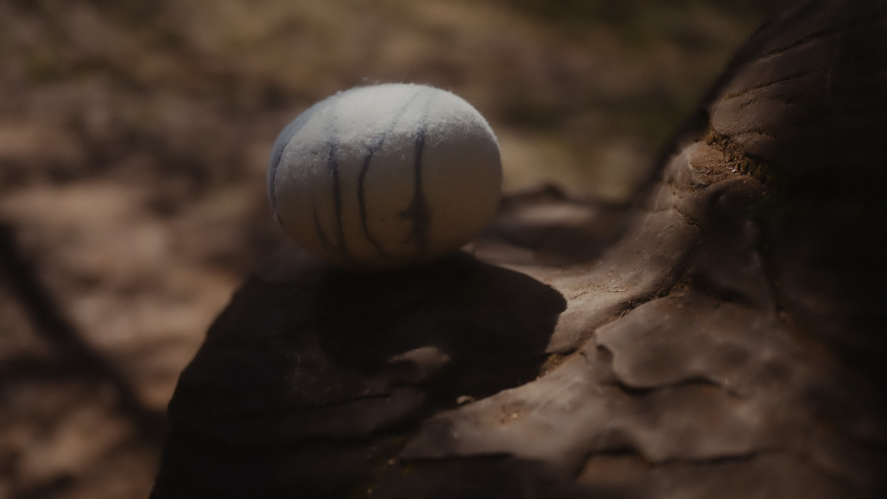 Sherstyanika. Soft stones made of felt: still from the film 1