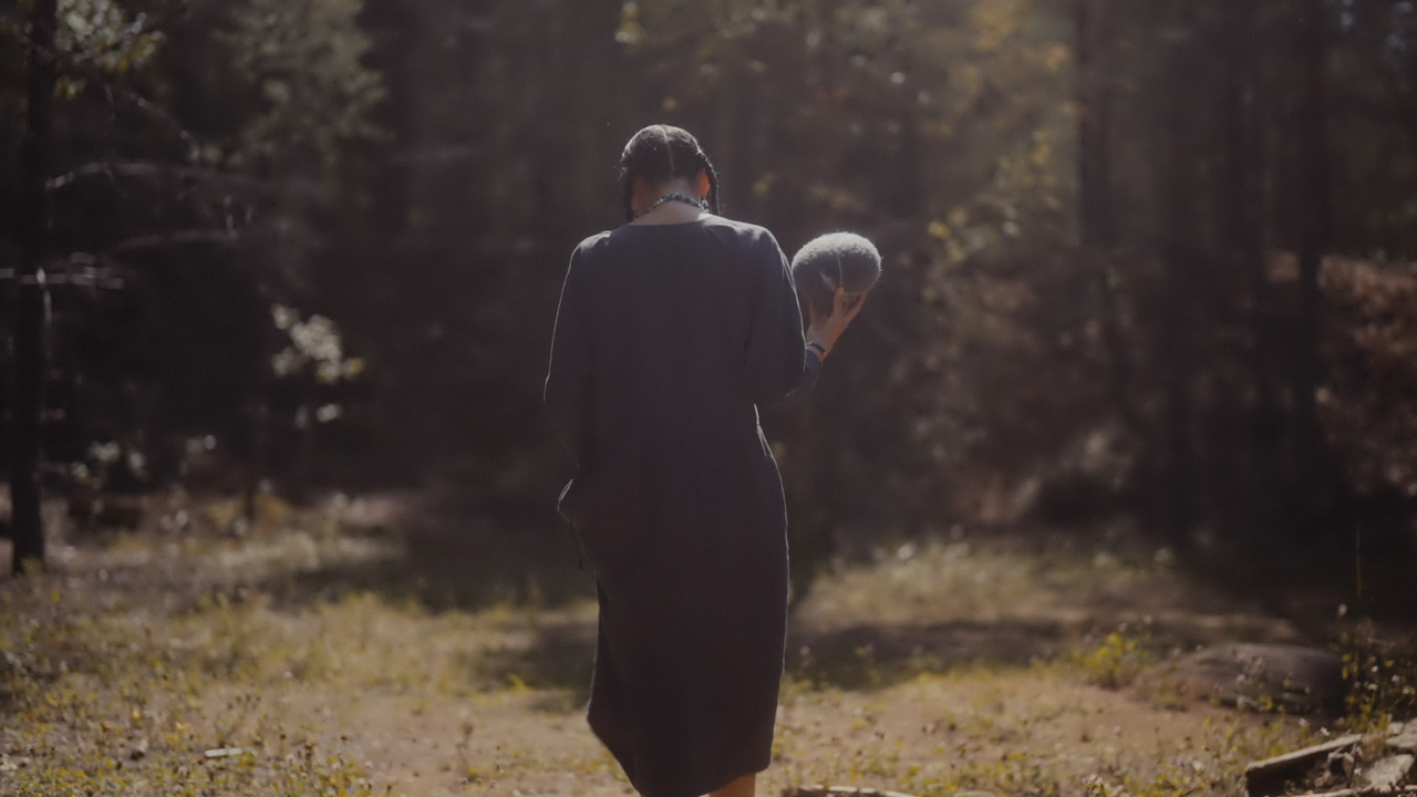 Sherstyanika. Soft stones made of felt: still from the film 5