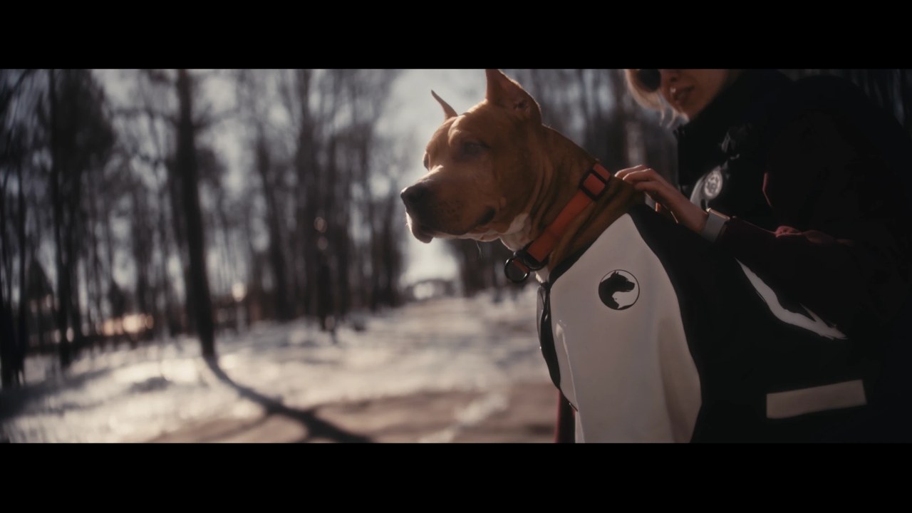 Street Wolf. Бренд одежды: кадр из ролика 1