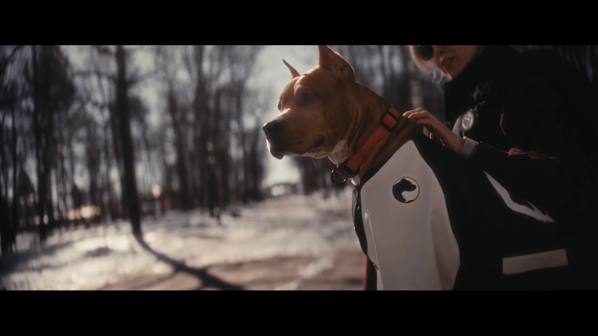 Street Wolf. Clothing brand